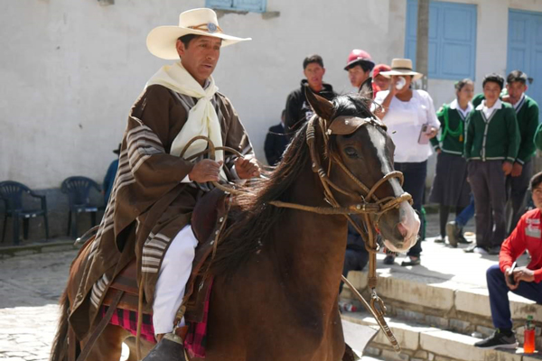 Show de caballo peruano de paso dirigido por un experimentado chalán