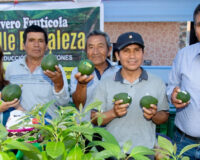Emprendedores del Valle Fortaleza