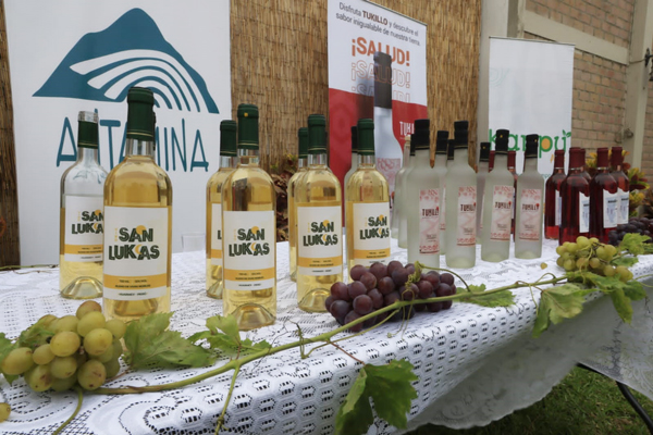 Se presentó en el Festival Porteño 2023, el vino blanco "San Lukas"