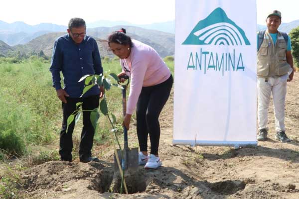 El apoyo brindado por Antamina a la agricultura sostenible en Huarmey es ejecutado por ACUDIP.