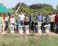 Agricultura sostenible en Huarmey.