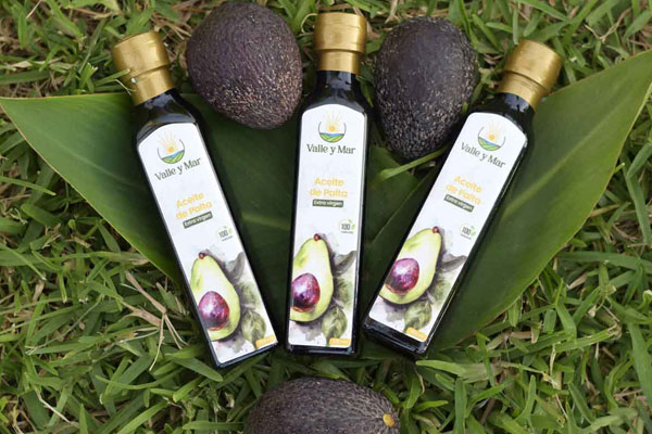 Botellas de aceite de palta
