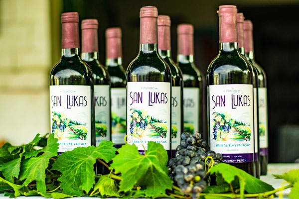 vino de huarmey