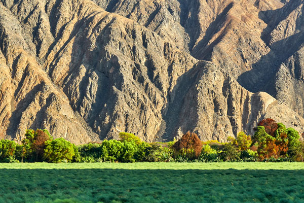 valle de huarmey