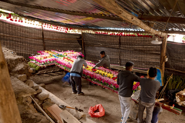 elaboración de las cruces