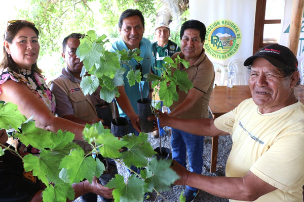 entrega de vid en Huarmey