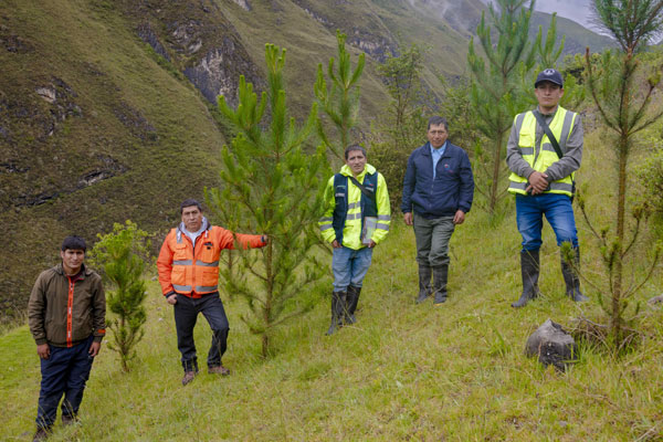 forestación en Huari