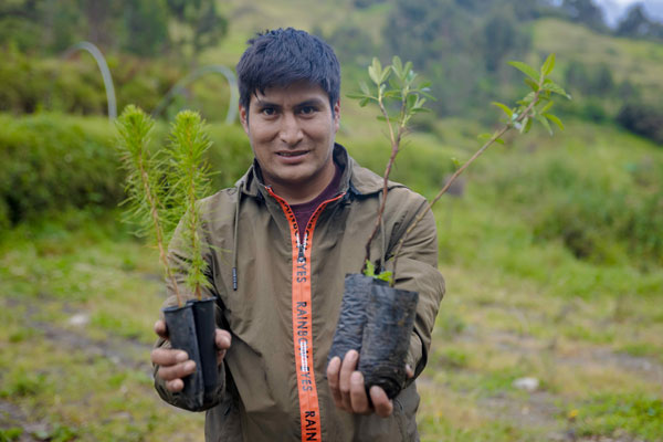 proyecto de forestación