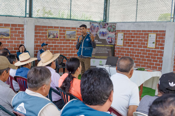 capacitación sobre el cultivo de palta