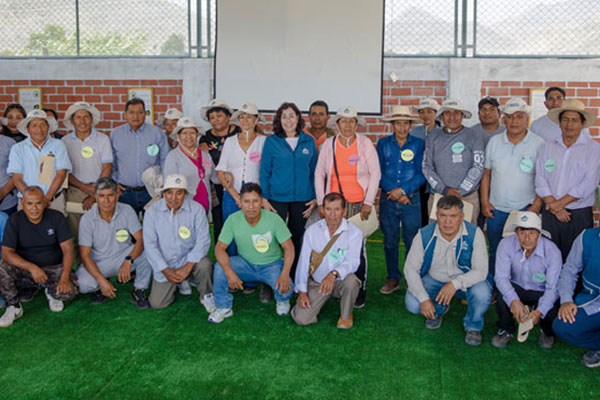 productores de palta hass