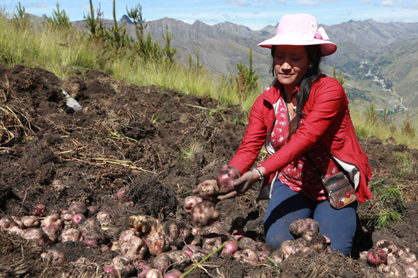 día del campesino