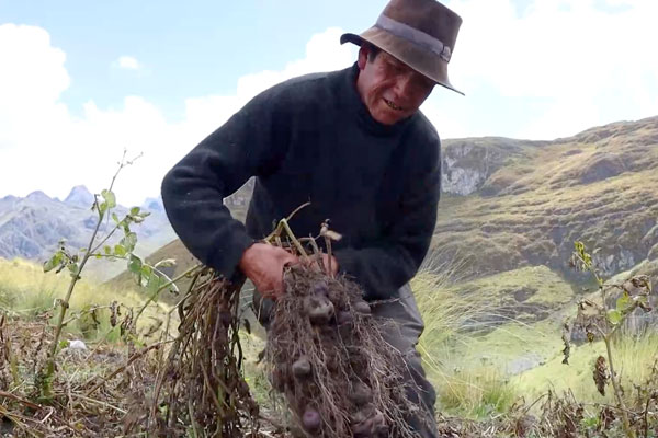día del campesino