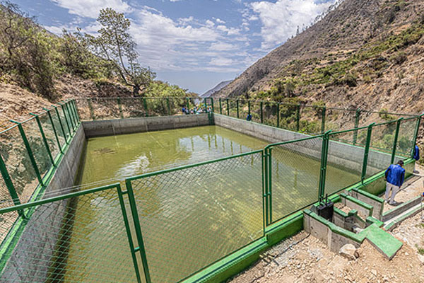 irrigación en Valle Purísima