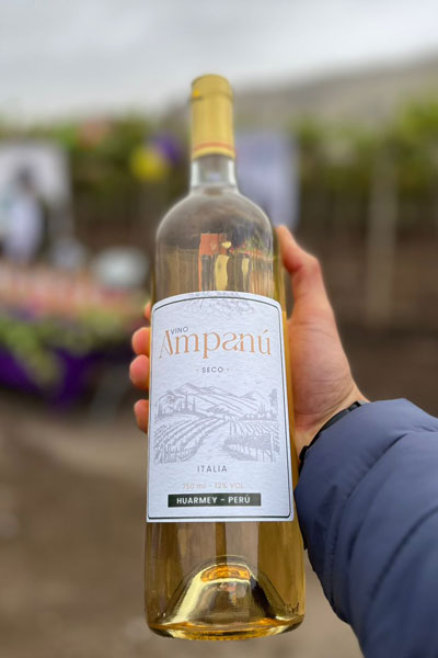 vino ampanú de Huarmey