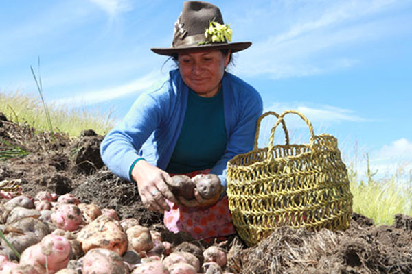 Día Internacional de las mujeres rurales Día Internacional de las mujeres rurales: Las mujeres rurales son pieza fundamental en el desarrollo sostenible de su comunidad.