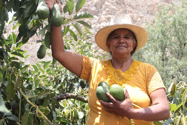 Día Internacional de las mujeres rurales Día Internacional de las mujeres rurales: Las mujeres rurales destacan por su esfuerzo y dedicación al sacar adelante sus proyectos agrícolas.