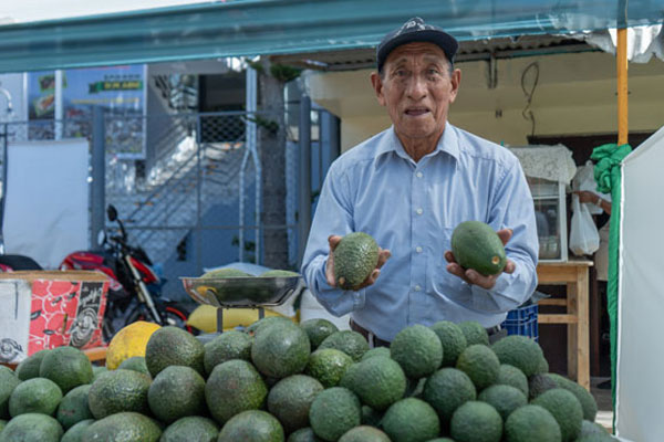 Día Mundial de la Alimentación 2024 Día Mundial de la Alimentación: productor de palta