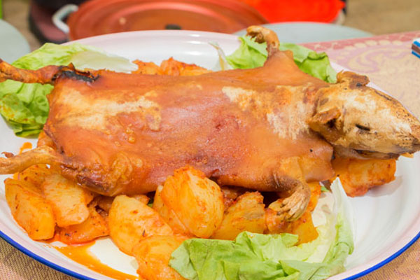 gastronomía en base de cuy Día Nacional del Cuy: La carne del cuy es sabrosa y se puede hacer una infinidad de platos en base de esta proteína.