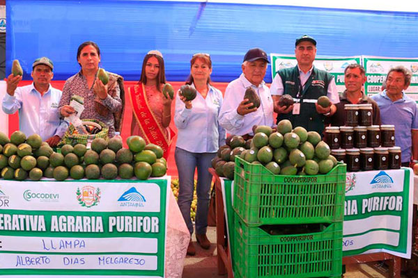 Festival de la palta de Chasquitambo