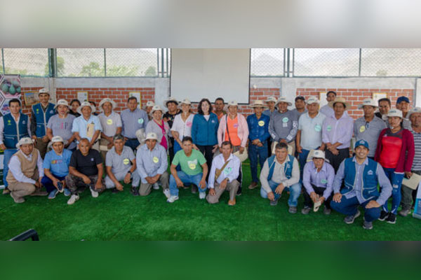 alianza entre Talsa y Antamina: palta alianza entre Talsa y Antamina