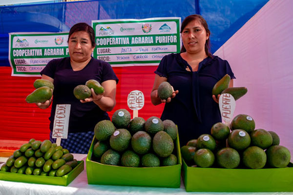 Día de la mujer emprendedora Día de la mujer emprendedora: Palta en Chasquitambo