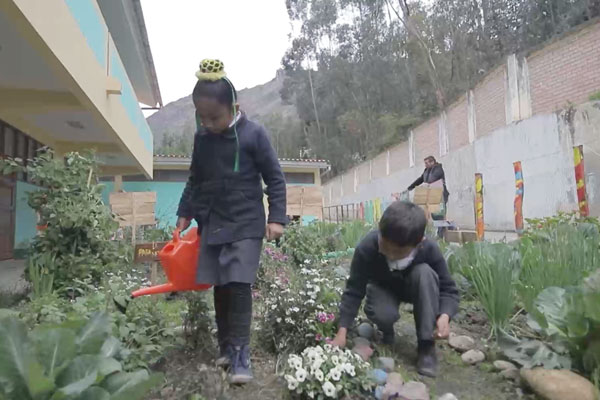 Programa de educación ambiental TiNi : biohuertos Programa de educación ambiental TiNi : biohuertos