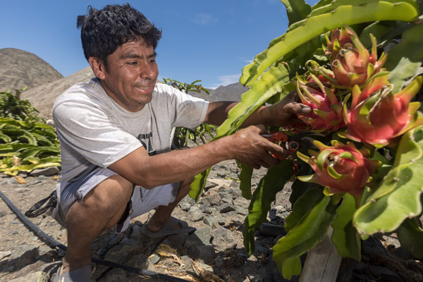 día de los derechos humanos: agricultura Día de los derechos humanos