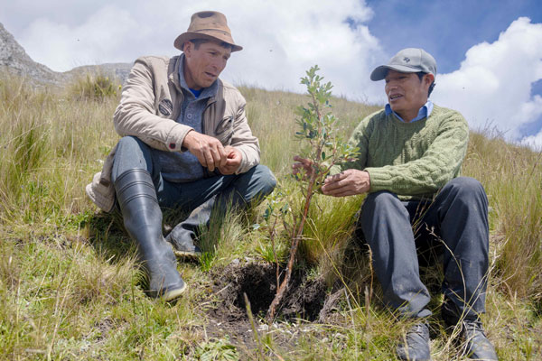 Logros de las comunidades 2024 Logros de las comunidades 2024: proyecto de forestación
