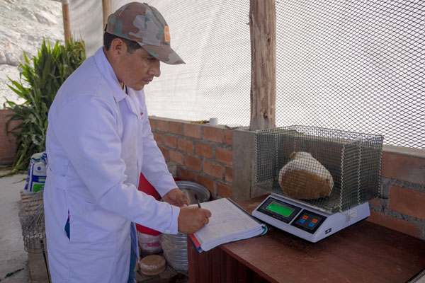 Centros de Producción de Reproductores Huarmey CPR Huarmey