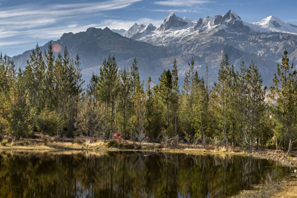 Día internacional de los bosques Día internacional de los bosques