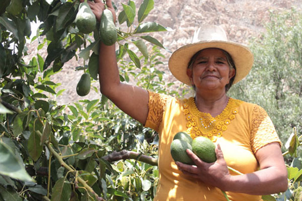 Día de la mujer Día de la mujer