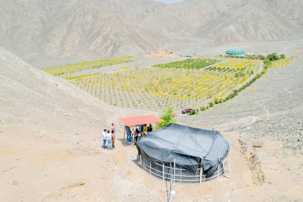 Día Mundial del Agua: sistema de riego en Huarmey
