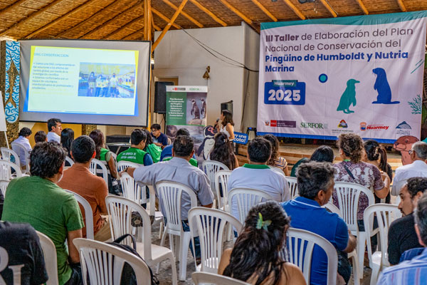 Plan Nacional de Conservación del Pingüino de Humboldt y la Nutria Marina Plan Nacional de Conservación del Pingüino de Humboldt y la Nutria Marina