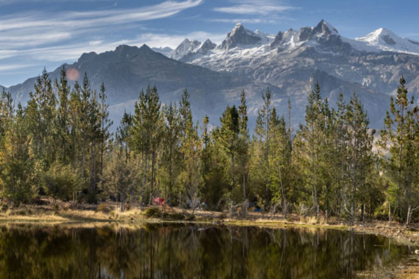 día de la diversidad biológica día de la diversidad biológica: parque nacional huascarán