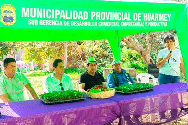 fresa agroexportable Huarmey fresa agroexportable Huarmey