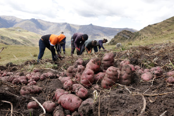 Día del Campesino 2025