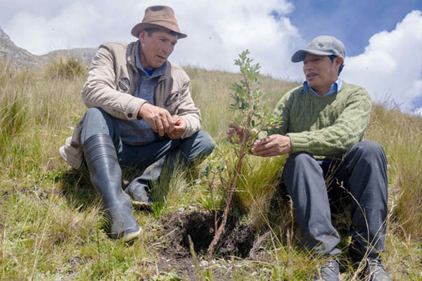 Día Mundial del Medio Ambiente