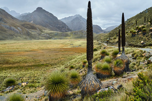 Parque Nacional Huascarán 50 aniversario