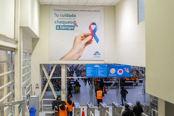 Día Mundial de la Lucha contra el Cáncer de Mama Día Mundial de la Lucha contra el Cáncer de Mama