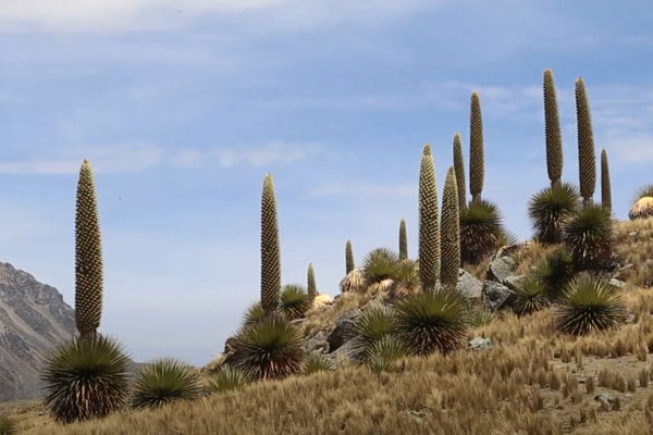Día de las Áreas Naturales Protegidas Día de las Áreas Naturales Protegidas
