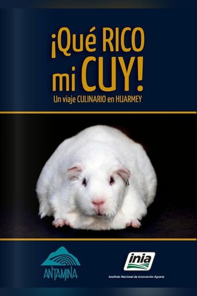 Recetario '¡Qué rico mi cuy! 