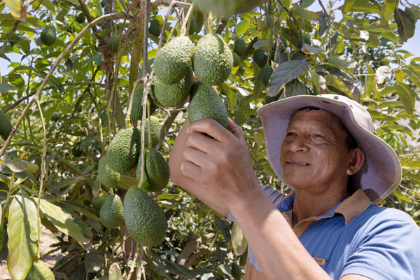 Día de los derechos humanos Día de los derechos humanos