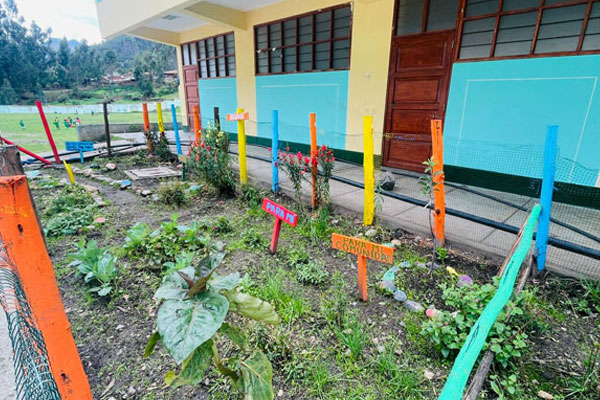 Educación ambiental Educación ambiental