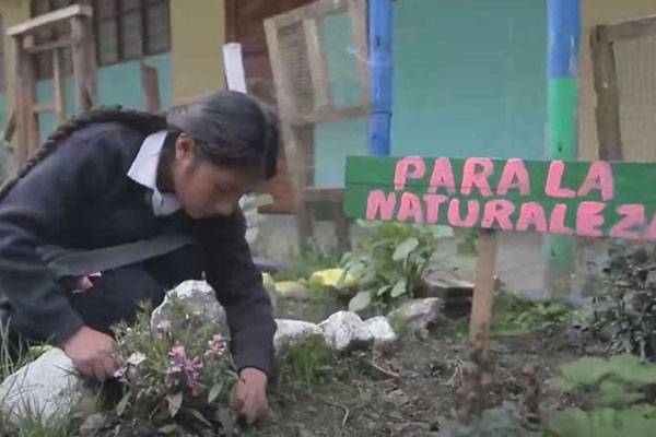 Educación ambiental Educación ambiental