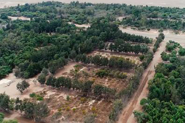 Reducción de emisiones CO2 Bosque de Huarmey Reducción de emisiones CO2 Bosque de Huarmey