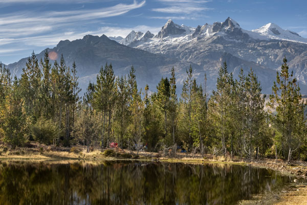 Día del guía de turismo 
