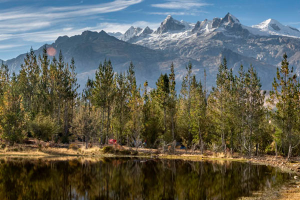 Día de los bosques - Parque Nacional Huascarán
