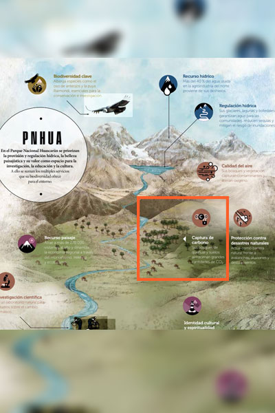 Día de los bosques 2026