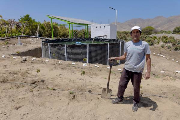 Día del campesino Perú