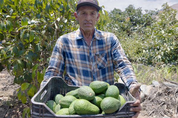 Día del campesino paltas Huarmey